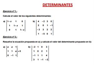 Ficha de ejercicios sobre determinantes