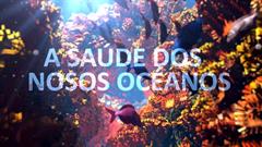 A saúde dos nosos océanos
