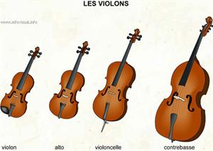 Les violons (Dictionnaire Visuel)