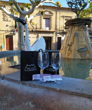 Catas en el Castillo