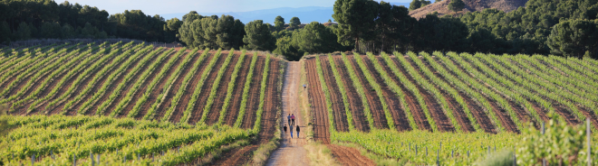 Aldeanueva de Ebro