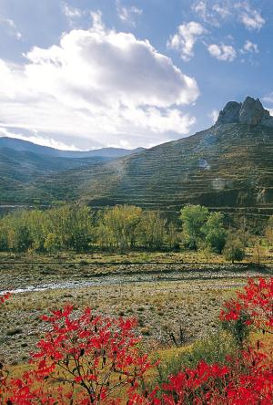 Route dans la Réserve de la Biosphère de La Rioja