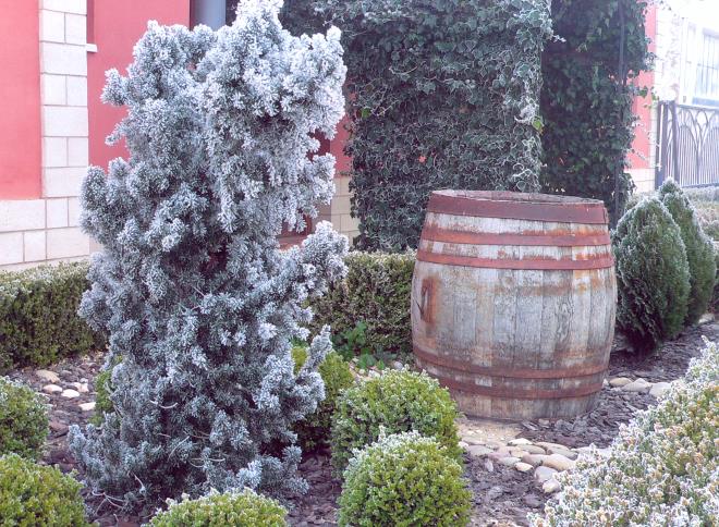 Bodega Viñas Nuevas