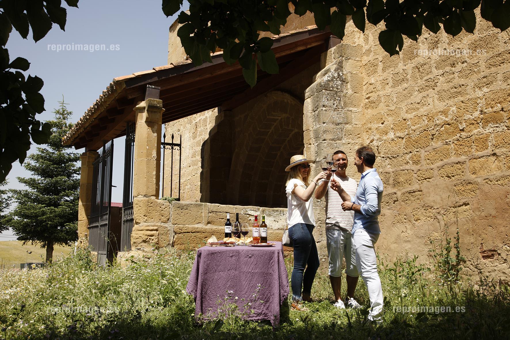 Románico y viñedos centenarios en territorio Tarón - Agenda - La Rioja ...
