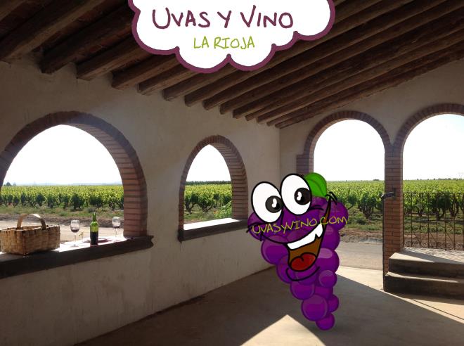 Uvas y Vino