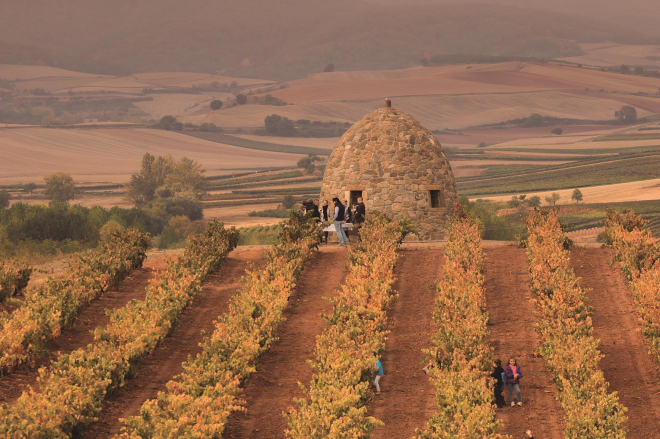 Bodegas David Moreno