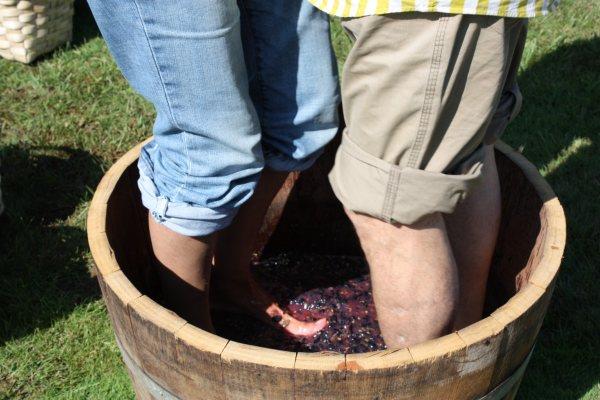 Bodegas David Moreno