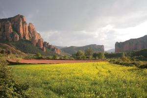 Discover La Rioja in 360°