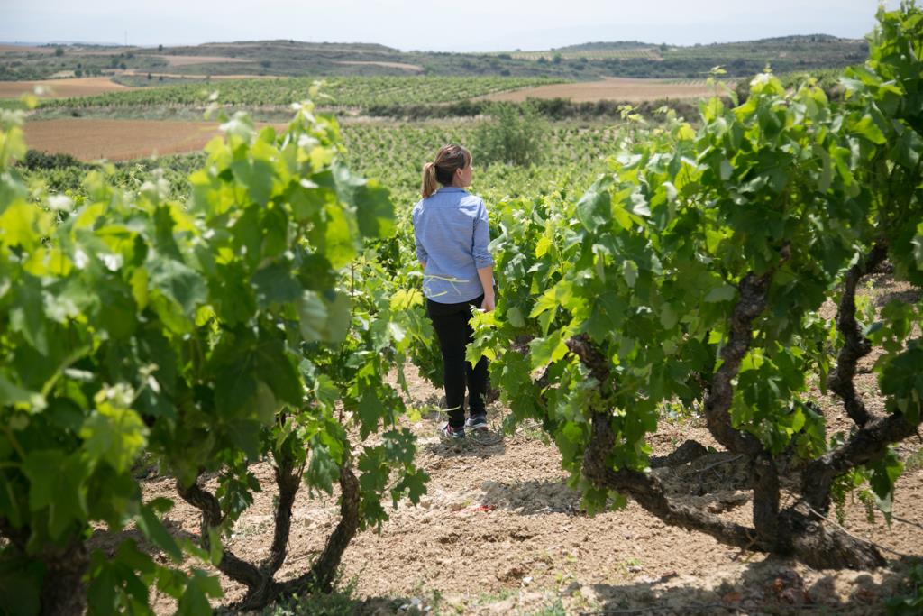 Berta Valgañon Pretium Viñedos Centenarios - Bodegas - La Rioja Turismo