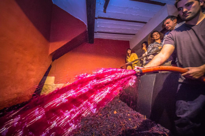 Bodegas Valentín Pascual