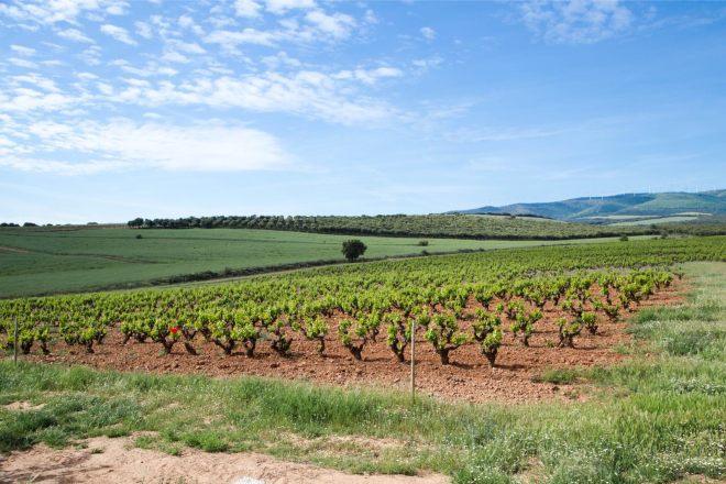 Finca Vistahermosa