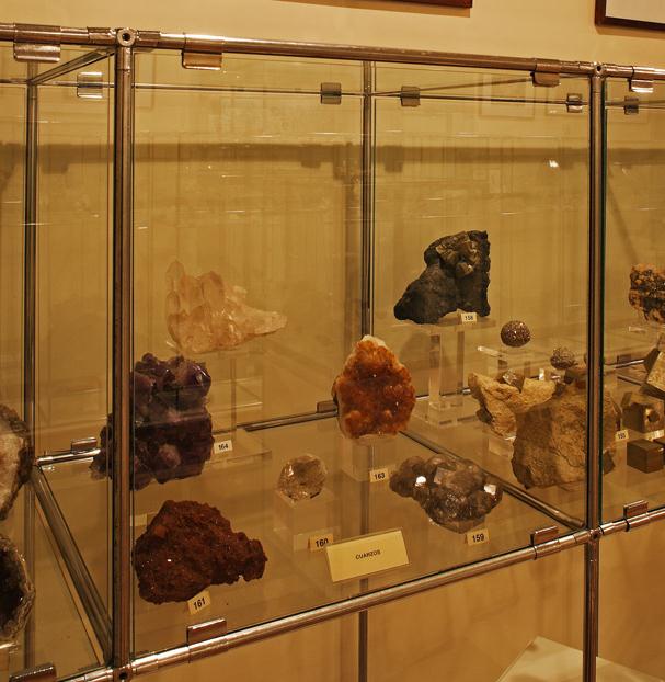 Museo de Ciencias Naturales de Arnedo