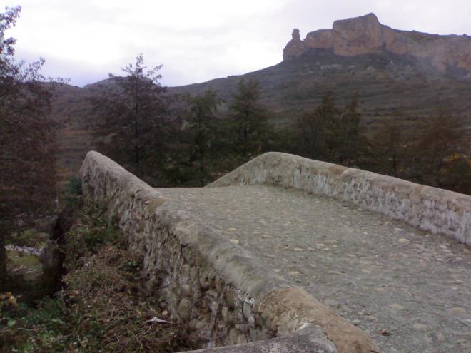 Viguera
