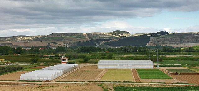 Los Premios Capital reconocen la labor de nueve entidades en favor del sector agrario