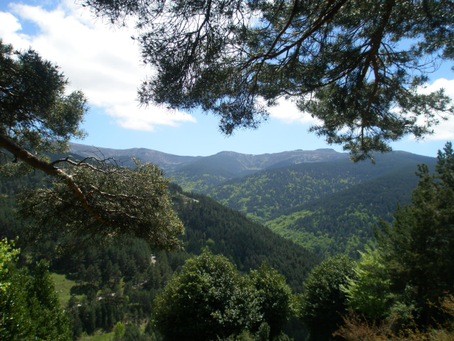 Parque Natural de "Sierra Cebollera"