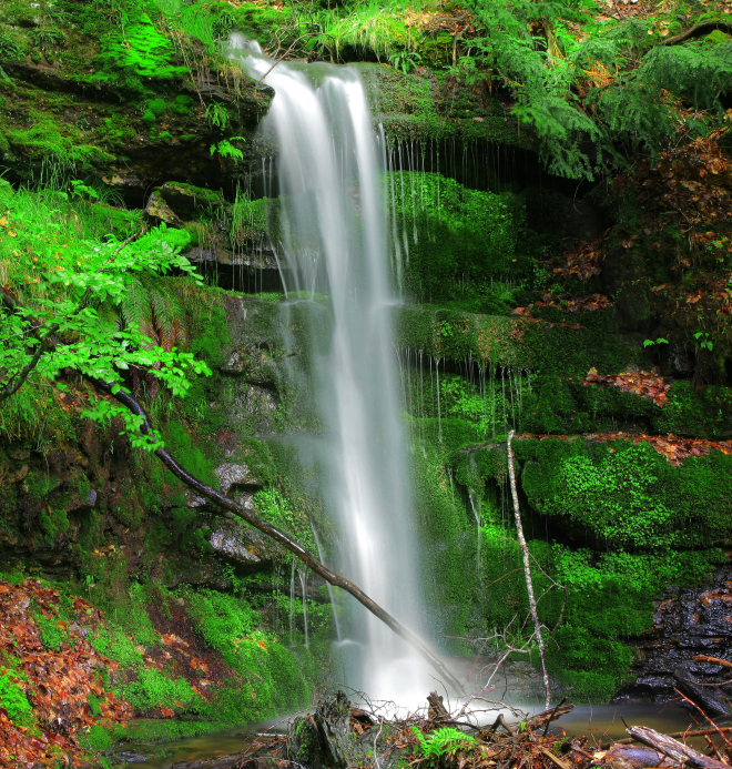 parque natural de la sierra de la cebollera la rioja