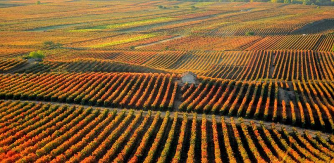 El Gobierno de La Rioja invertirá 50 millones de euros de fondos Next Generation en el despliegue turístico de Enorregión y Valle de la Lengua