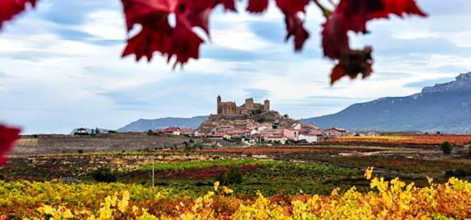 Bodega del Monge - Garbati