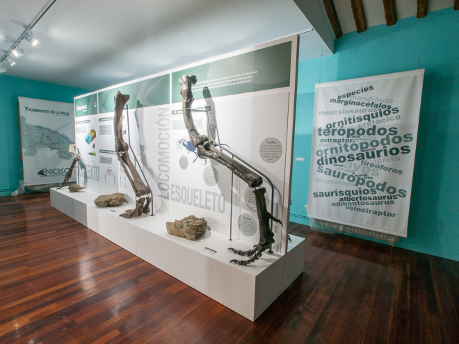 Centro Paleontológico de Enciso