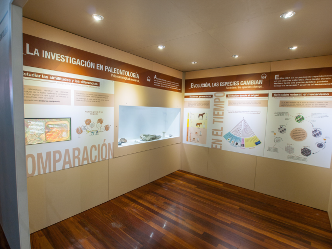 Centro Paleontológico de Enciso