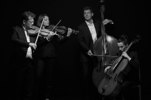 ORQUESTA DE CÁMARA FRANZ LISZT