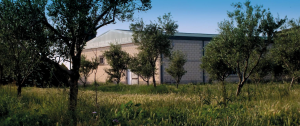 Visita a la "Almazara Ecológica de La Rioja- Isul"