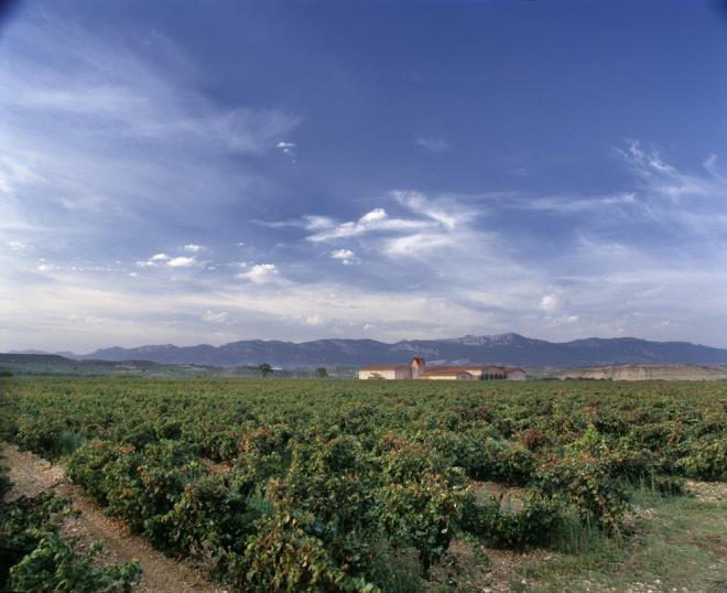 Finca Valpiedra