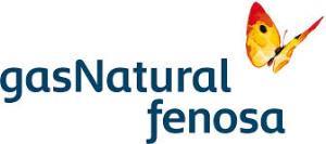 Fundación Gas Natural Fenosa organiza un seminario sobre oportunidades que abre la directiva europea sobre eficiencia