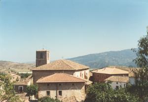 Matute
