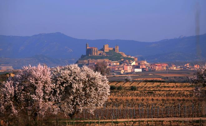 Semana Santa en La Rioja