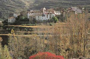 Peroblasco