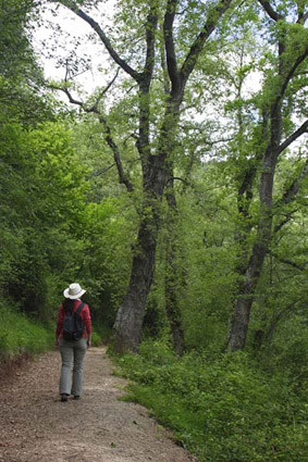 Camino peatonal Yuso-Suso Labardera