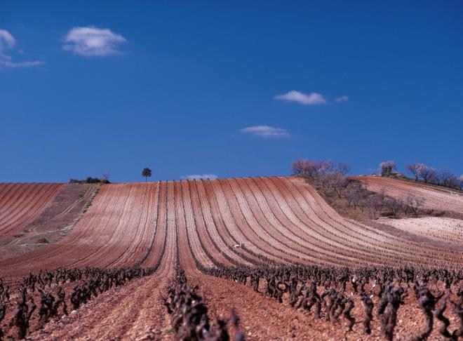 Bodegas Gómez Cruzado