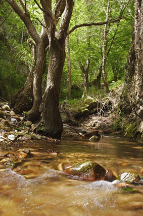 Sentier du Salto del Agua (Matute)
