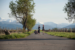 La Rioja Film Commission (LaRFC)