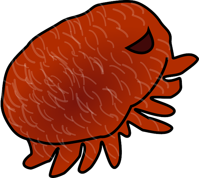Dibujo de piojo