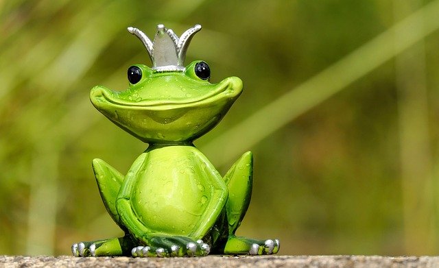 Príncipe Foto de una rana sonriente con corona