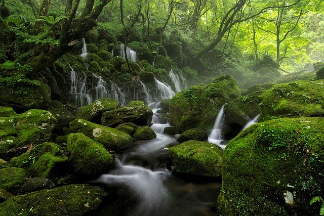 Cascadas Foto de piedras con musgo y cascadas
