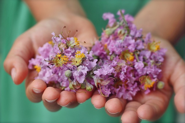 Foto de manos de niño con flores moradas