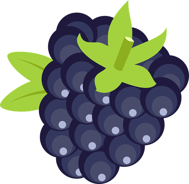 mora Dibujo de mora