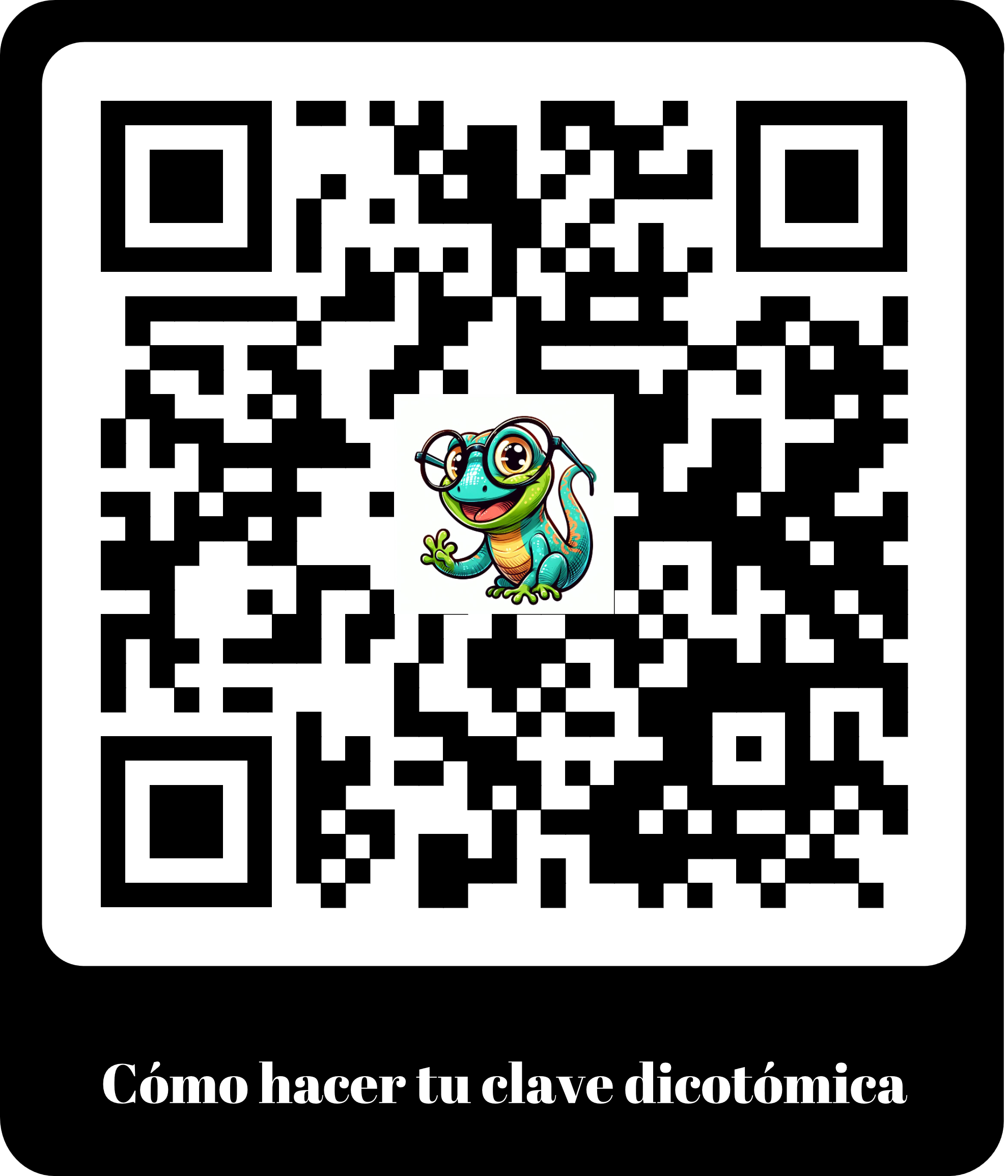 Código QR Pista 2