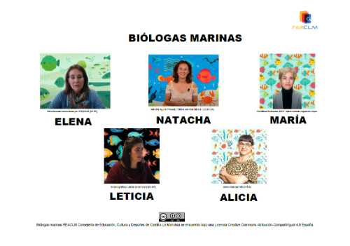 5 mujeres biólogas marinas