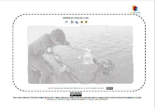 Imagen de una oceanógrafa devolviendo al mar dos caballitos crecidos en cautividad