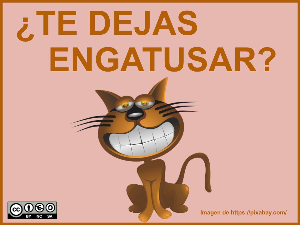 Gatito con sonrisa pícara