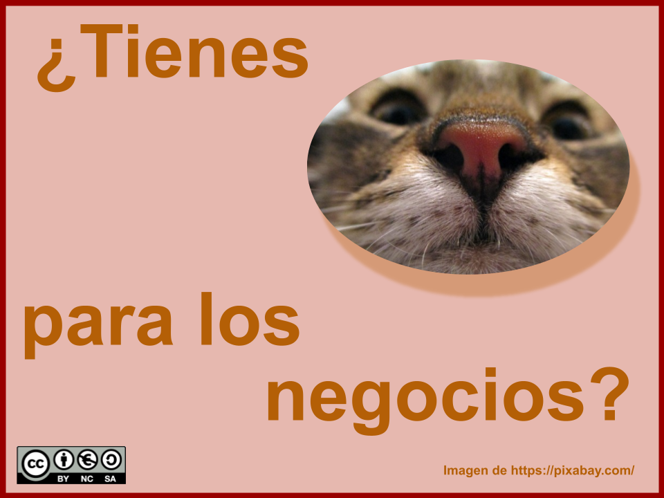 Hocico de un gato