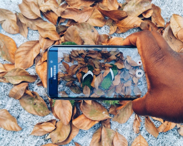 Móvil Imagen de un móvil haciendo una foto a las hojas caídas del otoño