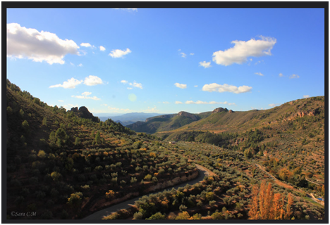 Paisaje de Molinicos.