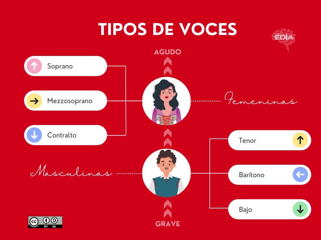 Clasificación de las voces Clasificación de las voces