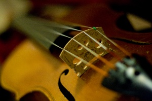 violín
