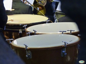 timbales